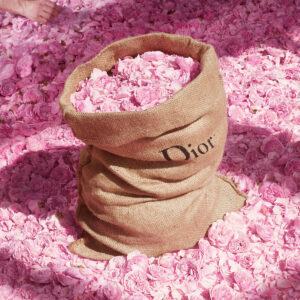 Nước Hoa Nữ Dior Miss Dior Rose N’roses Edt 4