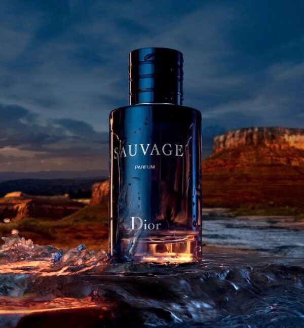 Nước Hoa Nam Dior Sauvage Parfum 18