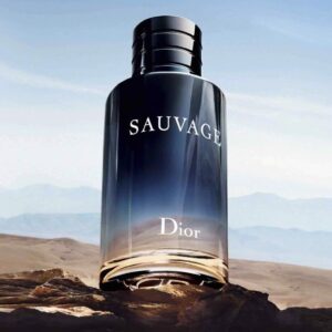 Nước Hoa Nam Dior Sauvage Parfum 20