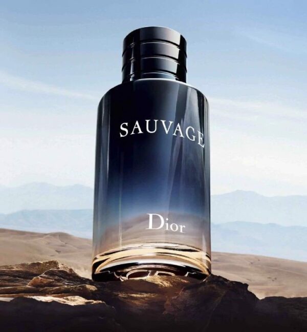 Nước Hoa Nam Dior Sauvage Parfum 20