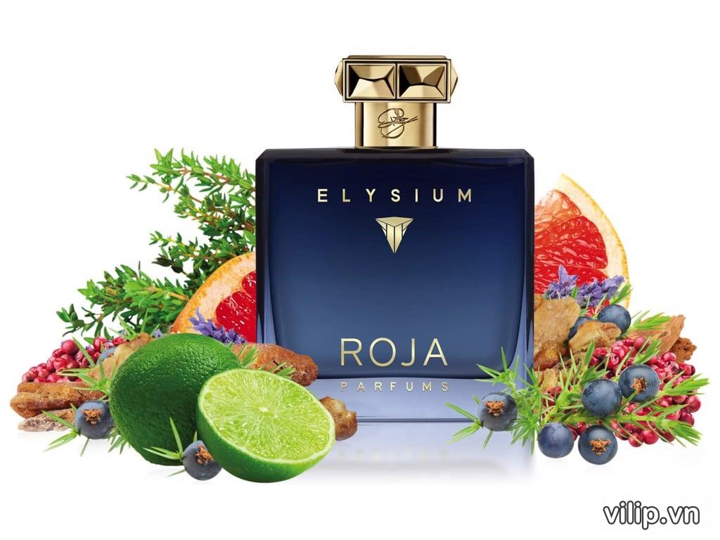 Nước Hoa Nam Roja Elysium Parfum 12