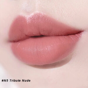 Son YSL Rouge Pur Couture Caring Satin Lipstick N5 Tribute Nude 1